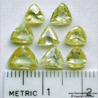 Yellow Macle Crystals - R9-06